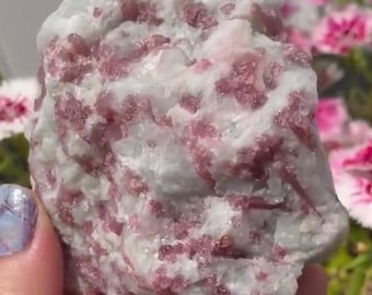 Pink Tourmaline Crystal in Quartz