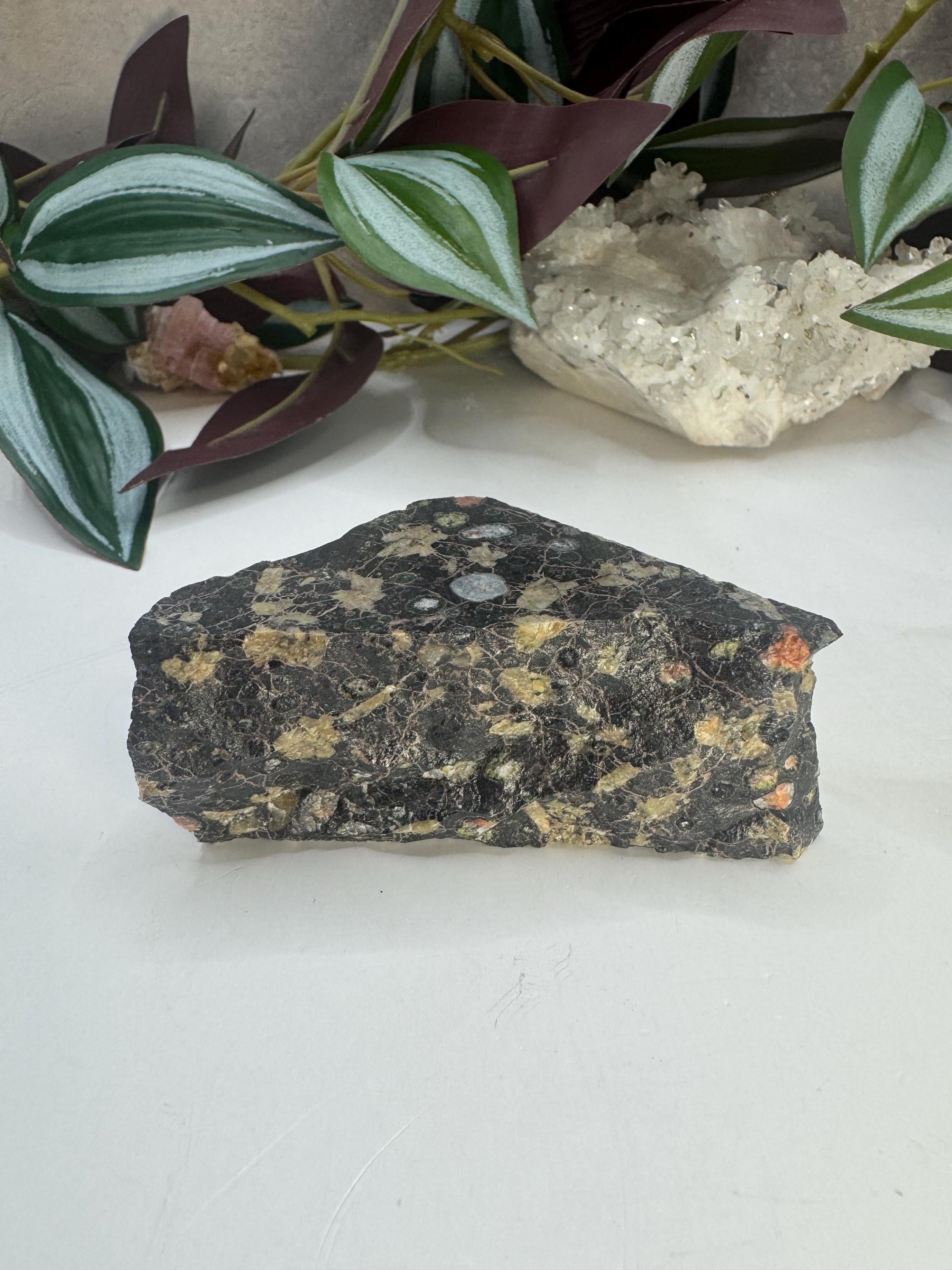 Plum Blossom Jasper Stone, Black Amygdaloidal Andesite, Gifts - Etsy