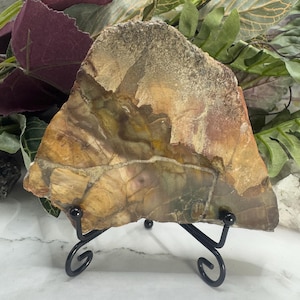 Polished Petrified Wood Slab with Stand, Fossilized Wood Slice, Gifts