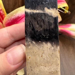 May include: A close-up of a slab of petrified wood with a dark brown top and a light brown bottom. The wood has a unique pattern of swirls and lines.