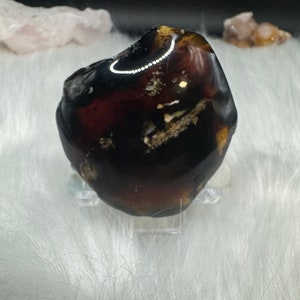 Indonesian Blue Amber Specimen: Partially Polished UV Reactive Fossil