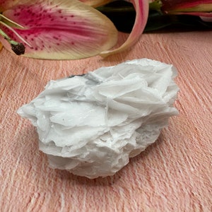White Rose Petal Calcite Crystal Specimen, UV Reactive Rose Petal Calcite, Angel Wing Calcite on Matrix, Gifts