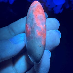 May include: A glowing, elongated stone with a speckled, reddish-orange pattern. The stone is held against a dark background, illuminated by a blue light. The stone's surface appears smooth with a slight curve.