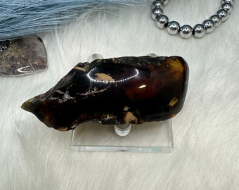 Indonesian Blue Amber Specimen: Partially Polished Fossil Resin, UV Reactive