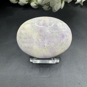 May include: A polished, oval-shaped stone in shades of lavender and cream, resting on a clear acrylic stand. The stone's surface has subtle variations in color and texture. White flowers are in the background.