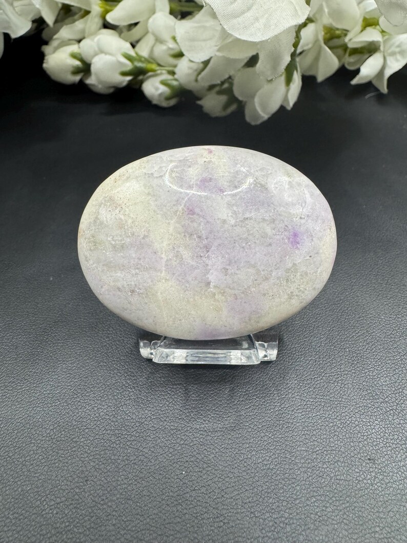 May include: A polished, oval-shaped stone in shades of lavender and cream, resting on a clear acrylic stand. The stone's surface has subtle variations in color and texture. White flowers are in the background.