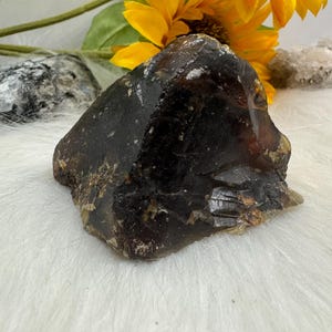 Raw Blue Amber Specimen: Indonesian UV Reactive Organic Amber