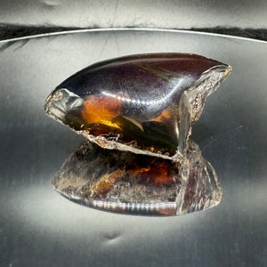 Indonesian Blue Amber Specimen: Partially Polished, UV Reactive Fossil Resin