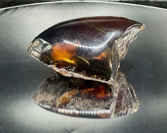 Indonesian Blue Amber Specimen: Partially Polished, UV Reactive Fossil Resin