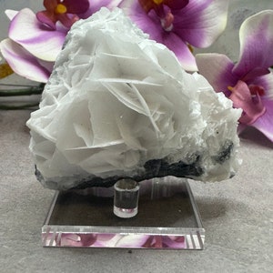 Rose Petal Calcite Crystal Specimen, UV Reactive White Rose Calcite, Angel Wing Calcite on Matrix, Gifts