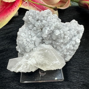 UV Reactive Coin Calcite With Fluorite on Matrix, Gifts
