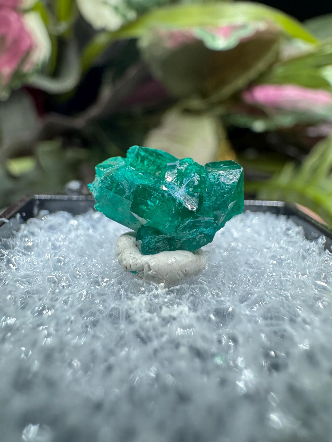 Dioptase Crystal Thumbnail Specimen From Namibia, Natural Emerald Green ...