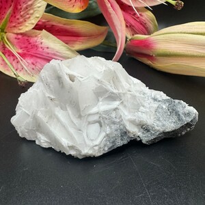 White Rose Calcite Crystal Specimen, UV Reactive Rose Petal Calcite, Angel Wing Calcite on Matrix, Gifts