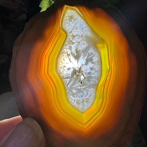 May include: A slice of agate with a translucent, white center surrounded by concentric bands of orange, yellow, and brown.