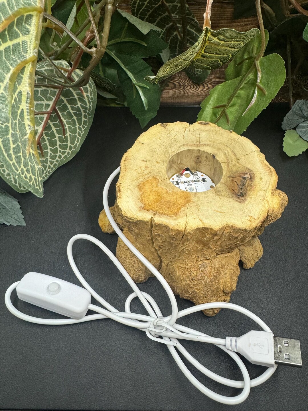 Wooden Stump LED Color Changing USB Light Stand, Wood Base USB Powered ...