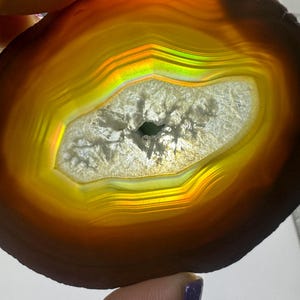 May include: A slice of agate with a rainbow iridescence. The agate is a light brown color with a white center and a dark brown edge.