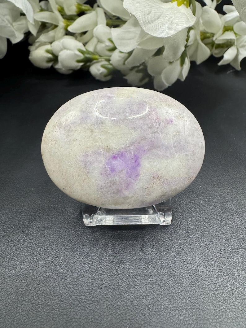May include: A smooth, oval-shaped stone with a light gray and purple color pattern. The stone is displayed on a clear acrylic stand. White flowers are visible in the background.