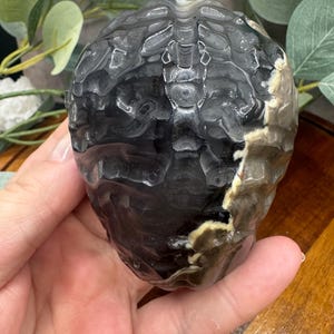 May include: A black and white agate geode with a smooth, polished surface. The geode has a natural, organic shape and features intricate patterns of black and white.