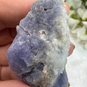 May include: A rough-cut, natural tanzanite gemstone. The stone displays a mix of blue, gray, and white hues, with a textured surface. The gemstone is held in a hand, with a blurred background of white flowers.
