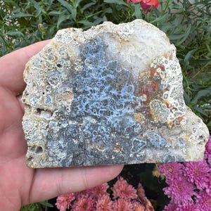 Semi Polished Marcasite Slab with Agate from Indonesia, Rare Marcasite with Red Agate Slice, Gifts