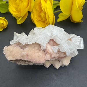 Fragile Pink Halite Crystal Specimen: Cubic Halite Cluster, California