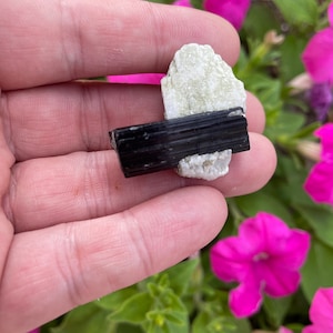 Black Tourmaline Crystal on Matrix from Pakistan, Tourmaline Cluster, Raw Natural Crystals, Black Tourmaline Specimen, Gifts