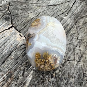 Indonesian Scenic Moss Agate Crystal Palmstone, Chalcedony Quartz Stone