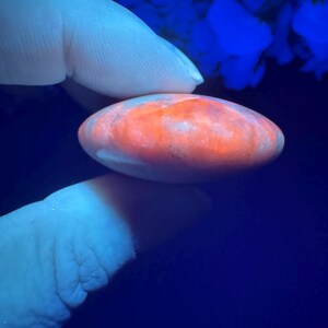 May include: An oval-shaped, polished stone with a vibrant orange and white color gradient. The stone is held between two fingers against a dark blue background, highlighting its smooth texture and natural patterns. The stone's surface appears to have subtle variations in color.