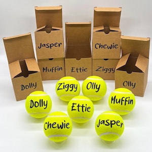 Pode incluir: Uma cole&ccedil;&atilde;o de bolas de t&eacute;nis amarelo-brilhante e caixas de cart&atilde;o castanhas a condizer. Cada bola e caixa &eacute; personalizada com texto preto com os nomes Dolly, Jasper, Muffin, Ettie, Chewie, Ziggy e Olly. As caixas est&atilde;o abertas.