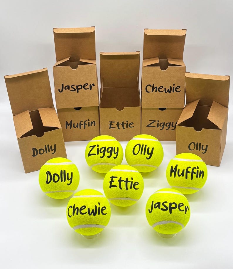 Pode incluir: Uma cole&ccedil;&atilde;o de bolas de t&eacute;nis amarelo-brilhante e caixas de cart&atilde;o castanhas a condizer. Cada bola e caixa &eacute; personalizada com texto preto com os nomes Dolly, Jasper, Muffin, Ettie, Chewie, Ziggy e Olly. As caixas est&atilde;o abertas.