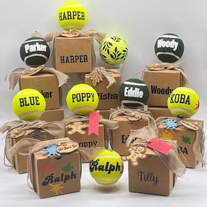 Balls personalised any name in gift box heavier & thicker than a tennis ball 15 fonts 5 ball designs summer outdoor dog toys or teacher gift 10 x Mixed Balls