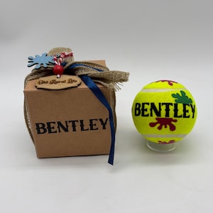 Balls personalised any name in gift box heavier & thicker than a tennis ball 15 fonts 5 ball designs summer outdoor dog toys or teacher gift imagem 17