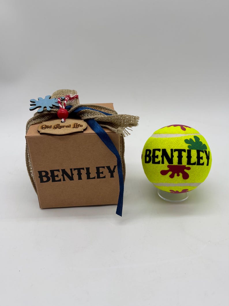 Balls personalised any name in gift box heavier & thicker than a tennis ball 15 fonts 5 ball designs summer outdoor dog toys or teacher gift imagem 17