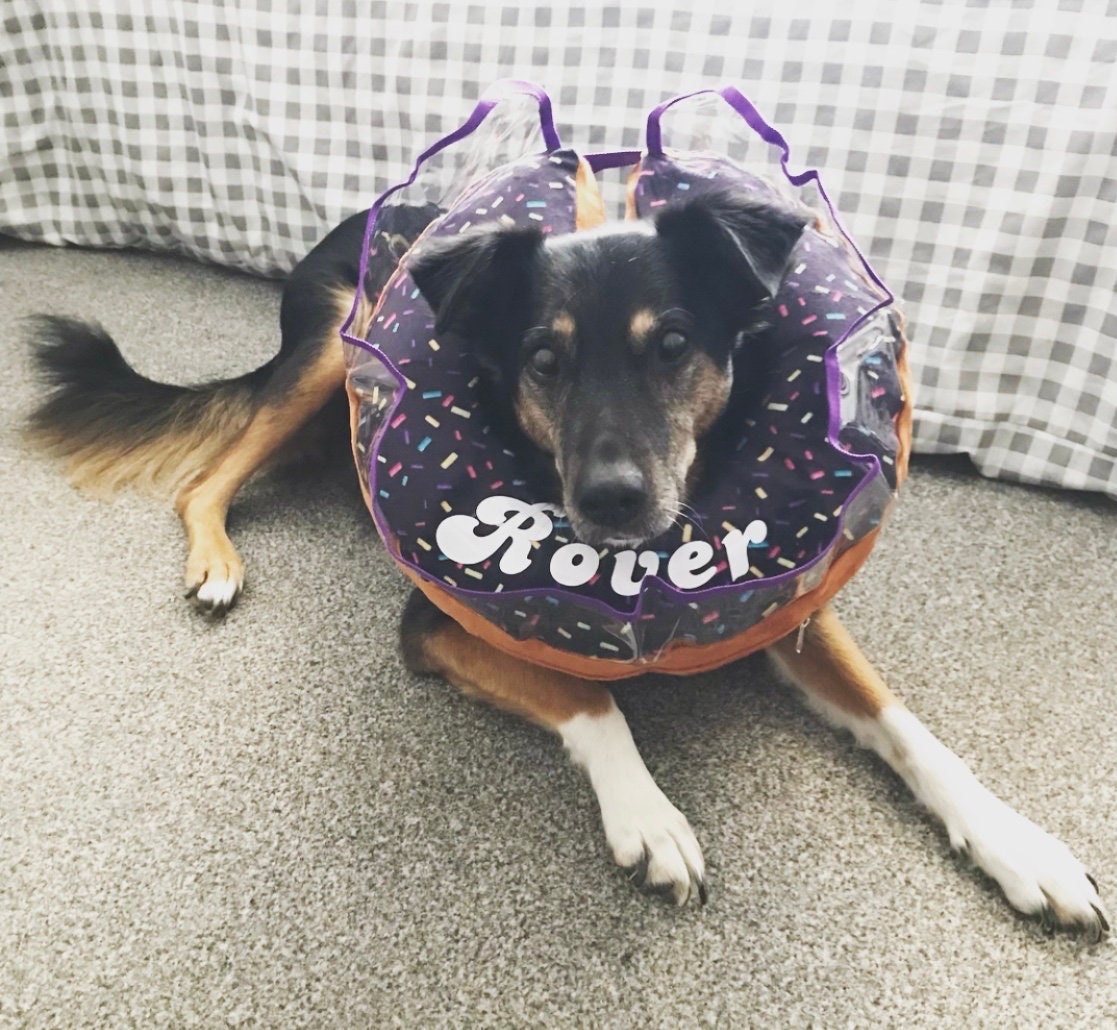 Alternative to buster clearance collar for dogs uk