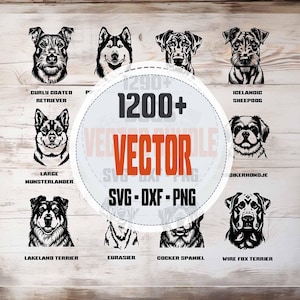 May include: A collection of black and white vector illustrations of various dog breeds, including a Curly Coated Retriever, and a Large Munsterlander. The image includes the text "1200+ VECTOR BUNDLE SVG-DXF-PNG".