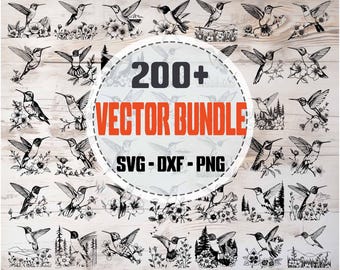 Hummingbird SVG Bundle | Bird Silhouettes and Clipart,Digital Cut Files for Cricut and Silhouette, Colibri Vector, png dxf svg