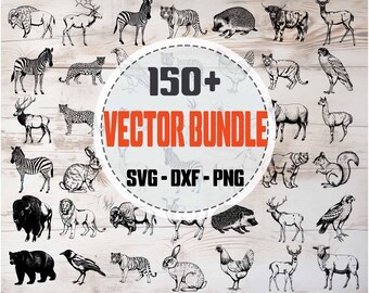 Animal SVG Bundle | Animal Silhouettes and Clipart,Digital Cut Files for Cricut and Silhouette, Colibri Vector, png dxf svg