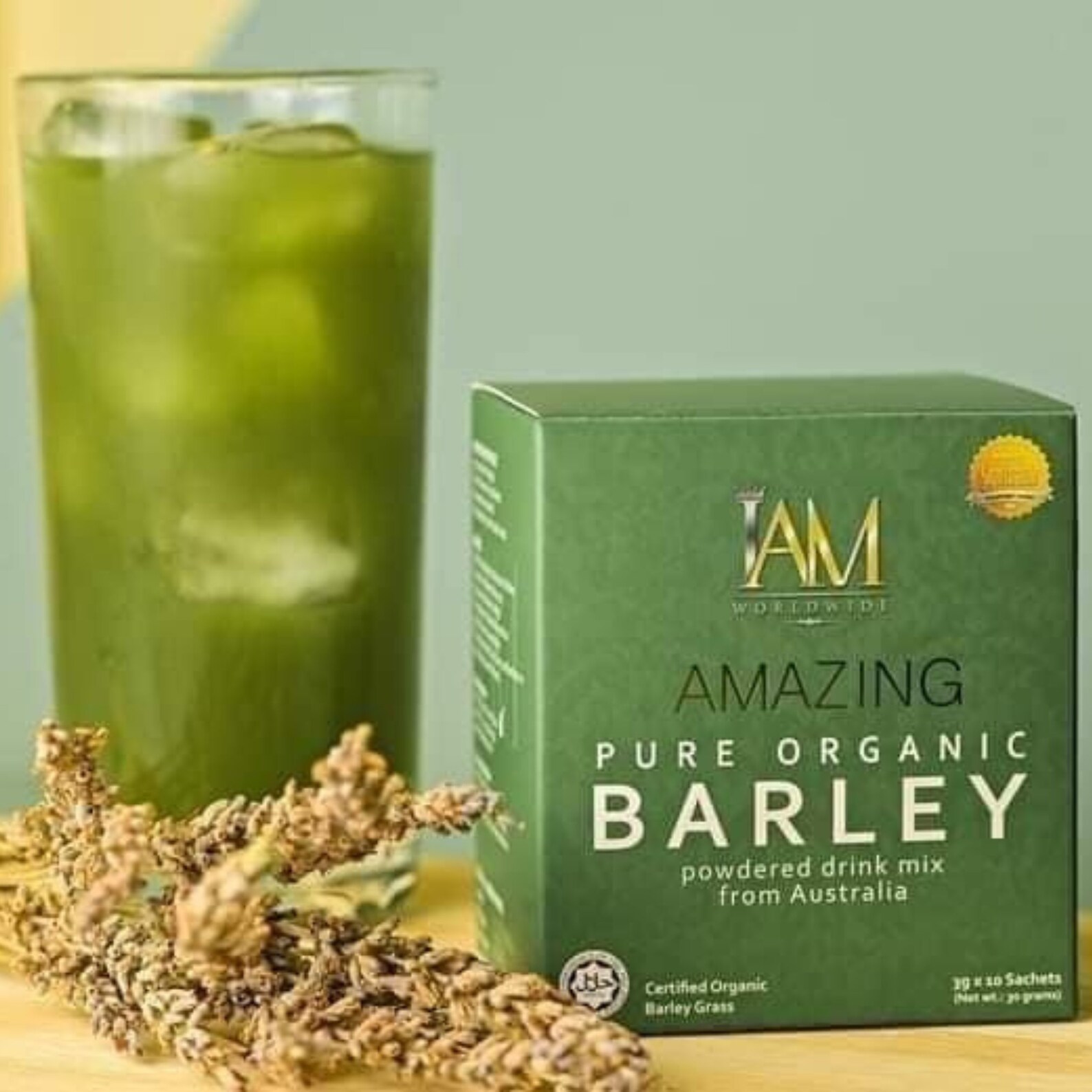 Organic Barley Grass Powder Drink Mix High in Fiber and Etsy