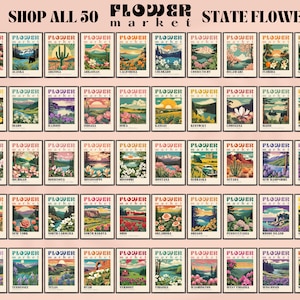 Op de afbeelding: Een collage van 50 vintage-achtige posters met de staatsbloemen van elke Amerikaanse staat. Elke poster heeft een kleurrijke illustratie van de bloem en de naam van de staat. De posters zijn gerangschikt in een raster en hebben een roze achtergrond. De tekst "SHOP ALL 50 FLOWER STATE FLOWERS" staat bovenaan de afbeelding.