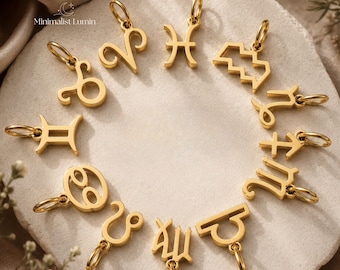 Breloque signe du zodiaque, pendentif horoscope en acier inoxydable, bijoux astrologie céleste