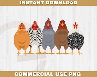 Hühner Gruppe png, Bauernhof Leben Sublimationsdatei, süßes Huhn png, Bauernleben Huhn png, diy Huhn Liebhaber Shirt Datei, Huhn Freunde