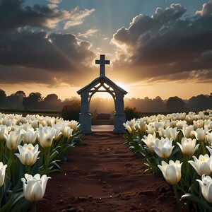 Peut inclure: Une arche en bois blanc surmontée d'une croix se dresse dans un champ de tulipes blanches. Le soleil se couche derrière l'arche, créant une lueur chaude.