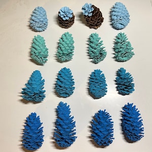 May include: A collection of 17 pine cones painted in shades of blue and green. The pine cones are arranged in rows on a white surface.