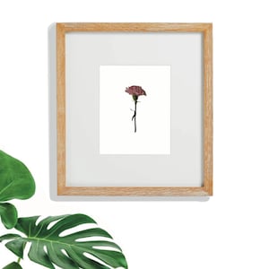 Januar Geburtstag Blume, Nelke Zeichnung, minimalistische Pflanzenkunst, druckbare Wandkunst, digitaler Download, botanische Zeichnung