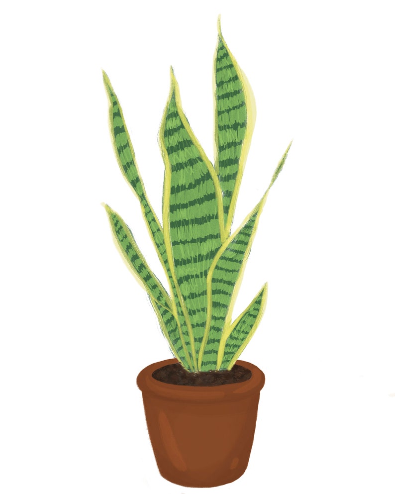 Snake Plant, Minimalistic Plant Art, Printable Wall Art, Digital ...
