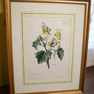 Antique Botanical Hand Colored Lithograph Art Print Emile-Charles Labbé c. 1870 | Country | Cottage | French Country | Floral Decor