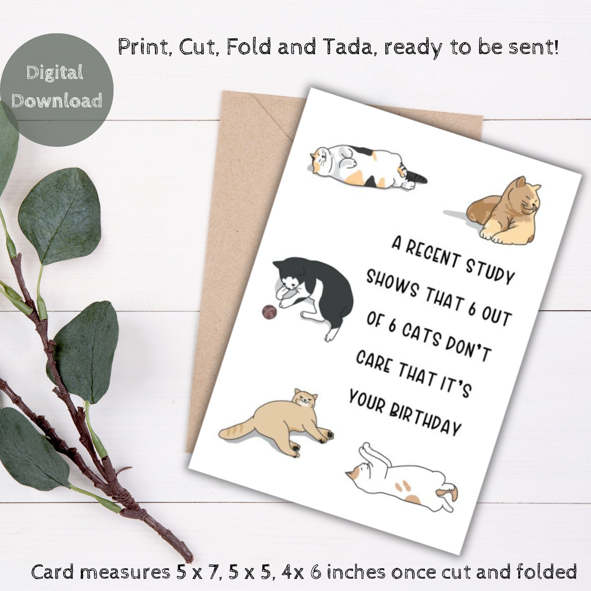 Printable Birthday Card, Funny Birthday Card, Funny Cat Birthday Card ...