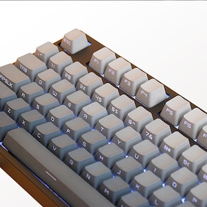 May include: A gray and white mechanical keyboard with a black frame. The keyboard has a compact layout with function keys and alphanumeric keys. The keycaps are two-toned, with gray and white keys. The keyboard is designed for gaming or typing.