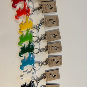 Pack of 10 - Buck Buck Bronco- Key Chains and Tags for Bucking Bronco&#39;s in a variety of colors