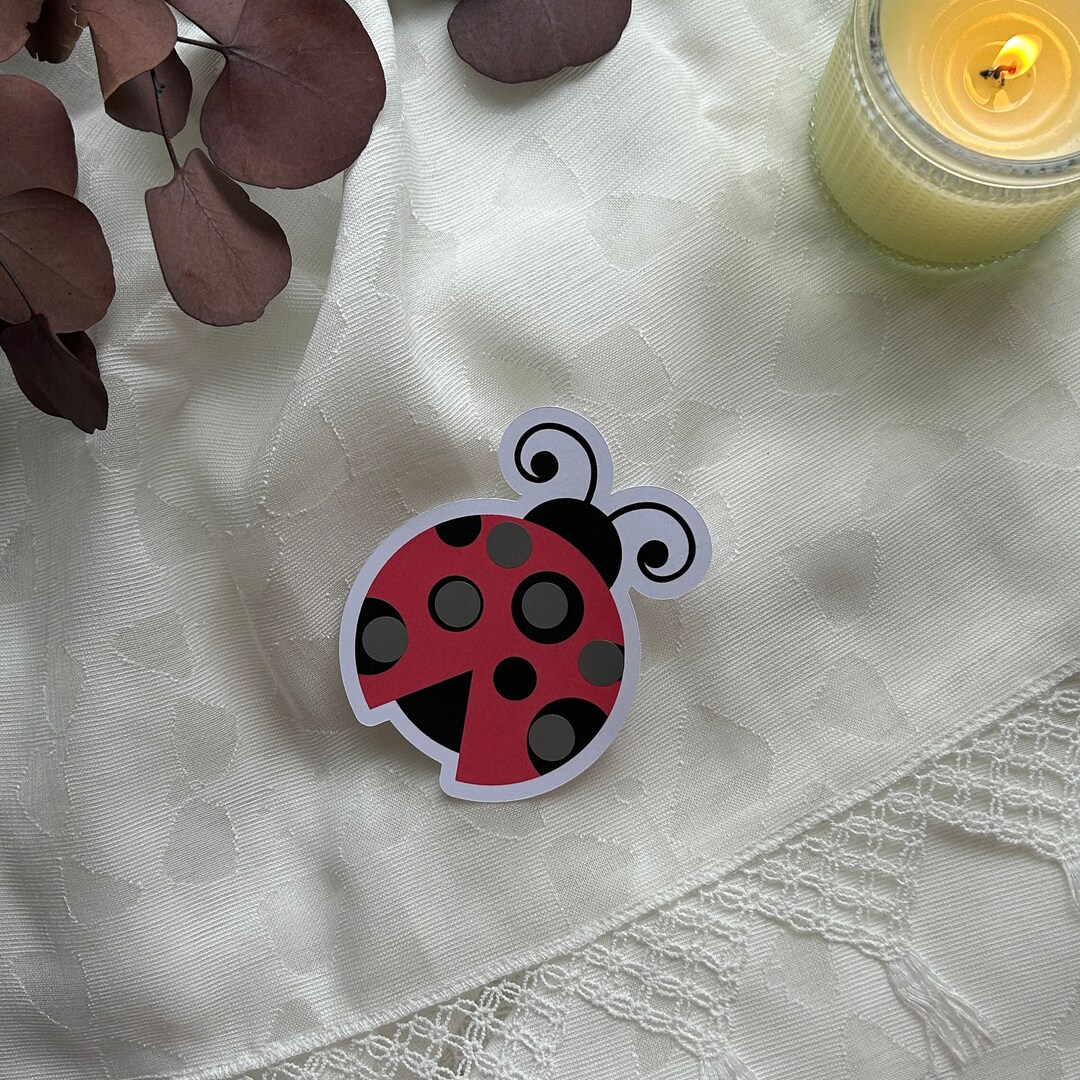 Ladybug Scratch off Savings Challenge - Save 30 - Etsy